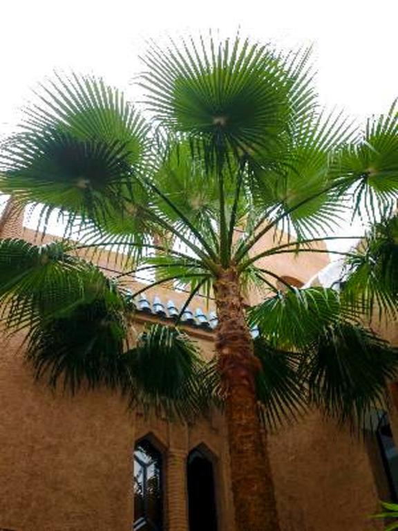 Riad Zahir Marrakesh Exterior foto
